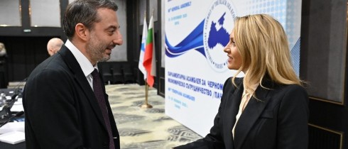 Irakli Mezurnishvili participated in the PABSEC Standing Committee sitting