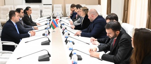 მარიამ ლაშხი და გიორგი ჩაკვეტაძე აზერბაიჯანის მმართველი პარტიის „ახალი აზერბაიჯანი" ახალგაზრდული კავშირის წევრებს შეხვდნენ