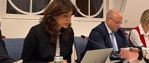 მაია ბითაძემ ენერგეტიკული გაერთიანების საპარლამენტო პლენუმის მონაწილეებს სიტყვით მიმართა
