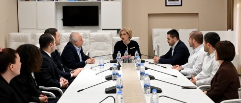 ეკა სეფაშვილის ინიციატივით, პარლამენტში შეხვედრა გაიმართა
