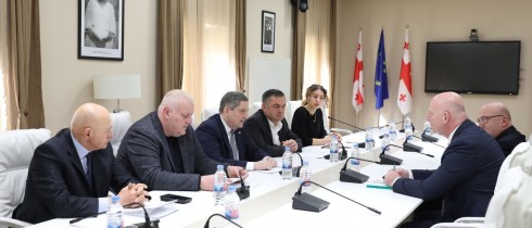 Gela Samkharauli Held Working Meeting on Amendments to the Law “On Vine and Wine”