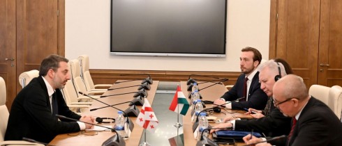Irakli Mezurnishvili MetVice Speaker of the Hungarian National Assembly
