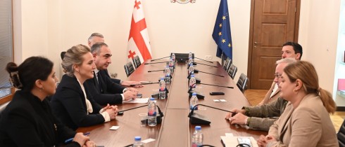Mariam Lashkhi, Victor Sanikidze and Vladimir Bozhadze met with the representatives of the International Federation of Physical Education and Sports (FIEPS)