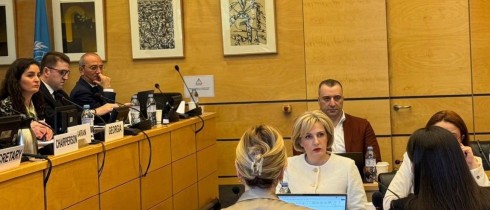 Rati Ionatamishvili and Eka Sepashvili Participated in the 79th Session of the UN Committee on Economic, Social and Cultural Rights (CESCR)