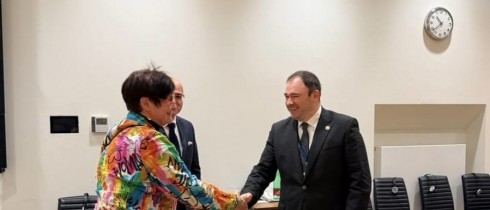 ნიკოლოზ სამხარაძე ევროპის საბჭოს საპარლამენტო ასამბლეის პრეზიდენტს შეხვდა