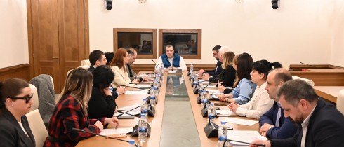 Rati Ionatamishvili held a Working Meeting on Parking for Persons with Disabilities
