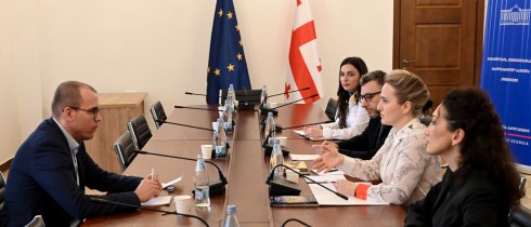 Mariam Lashkhi Met with a Researcher from the Hungarian Institute of International Affairs