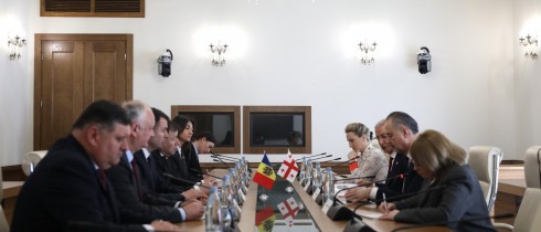 ისკო დასენი მოლდოვას რესპუბლიკის პარლამენტის საქართველოს პარლამენტთან მეგობრობის ჯგუფის წევრებს შეხვდა