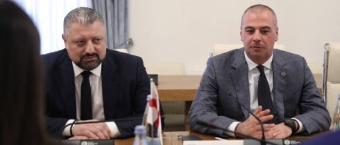 Levan Machavariani and Tornike Berekashvili met with the Moldova-Georgia Parliamentary Friendship Group