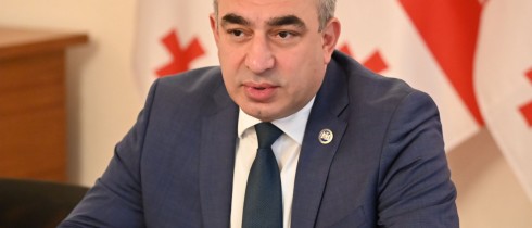 Chair of the Parliamentary Political Group “European Socialists” Vladimir Bozhadze Met with Members of the Initiative Group “Georgian Youth Congress”
