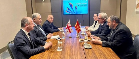 Zaza Lominadze Participated in the International Ministerial Meeting on Demographic Sustainability in North Macedonia