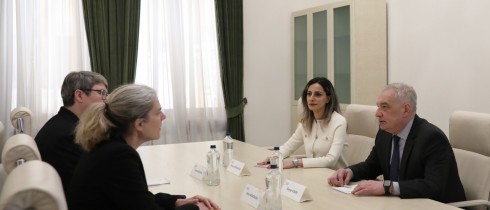 გიორგი ვოლსკი წითელი ჯვრის საერთაშორისო კომიტეტის დელეგაციის ხელმძღვანელს შეხვდა