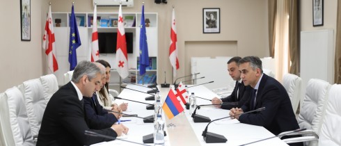 პარლამენტის თავმჯდომარის მოადგილე გიორგი კახიანი სომხეთის ელჩს შეხვდა