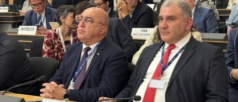 Zaza Lominadze participates in the 79th session of the World Health Assembly