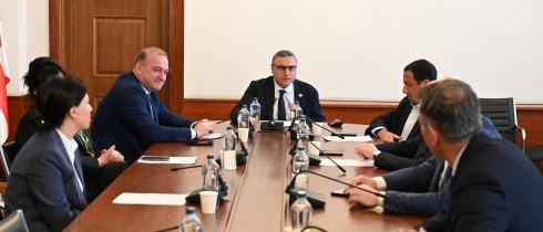 Imeda Nikuradze was elected Deputy Chair of the Procedural Issues Committee of the Parliament of Georgia