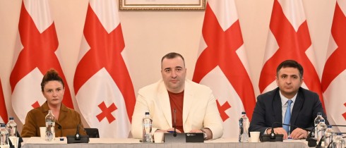 რატი იონათამიშვილი სტუდენტური პარლამენტისა და მთავრობის წევრებს შეხვდა