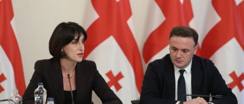 Foreign Minister Maka Botchorishvili reported to the Diaspora Committee