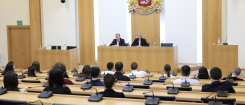 Vice Speaker Nino Tsilosani and the Secretary General of Parliament Kakha Okrojanashvili met with Interns
