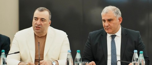 Rati Ionatamishvili Participated in the First Meeting of the Coordinating Council for the Implementation of the Biopsychosocial Model