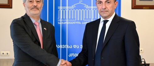 ალექსანდრე ტაბატაძე ისრაელის საგანგებო და სრულუფლებიან ელჩს შეხვდა