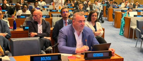 Rati Ionatamishvili Discussed Georgia’s Progress and Existing Challenges at the UN Conference of States Parties to the Convention on the Rights of Persons with Disabilities