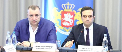 Rati Ionatamishvili Participated in a Working Meeting Organized by the Public Defender of Georgia