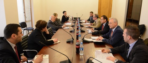 The meeting of Ivane Kiguradze with European Experts
