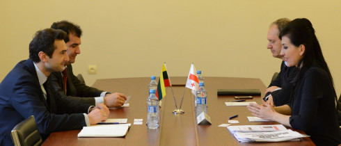 The meeting of the Chair of the Environmental Protection and Natural Resources Committee, Kakhaber Kuchava with the Vice Minister of Environment of Lithuania, Daiva Matoniene