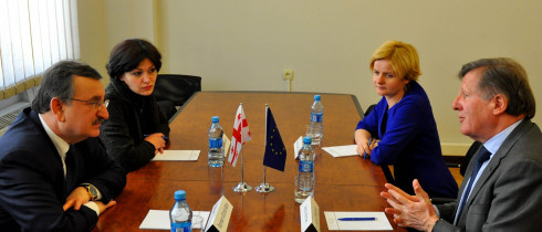 რომან გოცირიძე ევროკავშირის წარმომადგენლობის ხელმძღვანელს შეხვდა