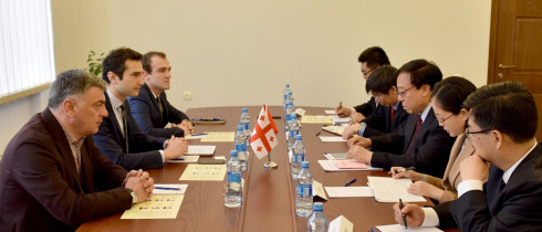 The meeting of Kakhaber Kuchava with the Chair of the Environmental Protection Committee of the National Congress of China   