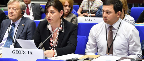 The Speech by Sofio Katsarava at OSCE PA Session