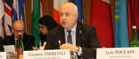 გიორგი წერეთელი ეუთოს მინისტერიალზე სიტყვით გამოვიდა