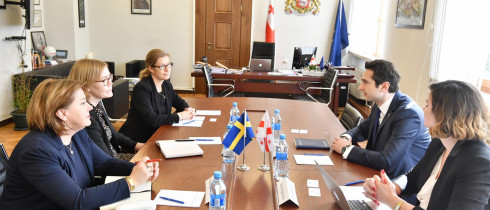 The meeting of Kakhaber Kuchava with the Ambassador of Sweden