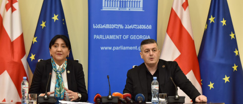 პარლამენტის თავმჯდომარის მოადგილემ ირმა ინაშვილმა და ფრაქცია „საქართველოს პატრიოტების“ თავმჯდომარემ გიორგი ლომიამ საინფორმაციო ბრიფინგი გამართეს