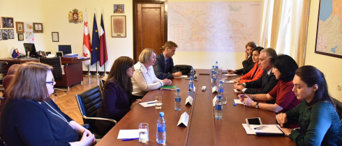 The meeting of Zviad Dzidziguri and Nino Goguadze with Westminster Foundation for Democracy representatives