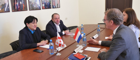 The meeting of Irma Inashvili with the Ambassador of the Netherlands