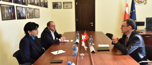 The meeting of Irma Inashvili with the Ambassador of Swiss Confederation