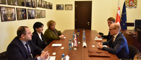 The meeting of Irma Inashvili with the representatives of the Swedish Embassy