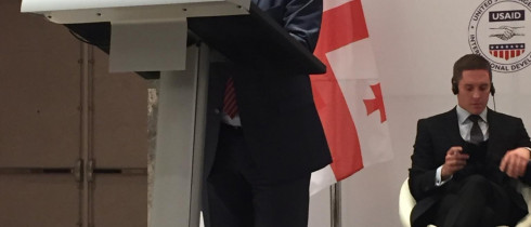 The Speech by the Vice Speaker, Ilia Nakashidze at the Congress