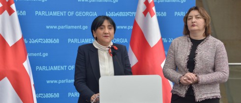ირმა ინაშვილის ბრიფინგი