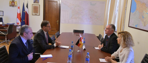 The meeting of Zviad Dzidziguri with the German Ambassador