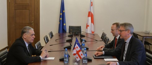 The meeting of Roman Kakulia with the EU Ambassador, Carl Hartzell