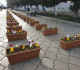 More than 1000 balconies in Rustavi to be decorated with flowers with the initiative of Rustavi Single Mandate MP, Giorgi Begadze
