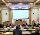 The Committees at the joint sitting heard the State Minister for Reconciliation and Civic Equality, Tea Akhvlediani