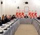 The Diaspora and Caucasus Issues Committee hearing about temporary rights on the retention and restoration of citizenship