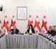 Tea Akhvlediani reporting to the Interim Commission on Restoration of Territorial Integrity and De-Occupation